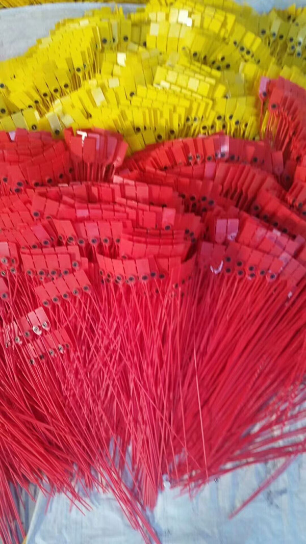 塑料(liào)封條鎖